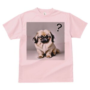 yLj[Y TVc fB[X t@  t  vg JWA 킢 lԗp h ̃fUC ʔ Kl yLj[Y ^╄