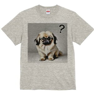 yLj[Y TVc fB[X t@  t  vg JWA 킢 lԗp h ̃fUC ʔ Kl yLj[Y ^╄