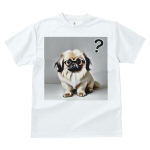 yLj[Y TVc fB[X t@  t  vg JWA 킢 lԗp h ̃fUC ʔ Kl yLj[Y ^╄