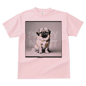 yLj[Y TVc fB[X t@  t  vg JWA 킢 lԗp h ̃fUC ʔ Kl yLj[Y