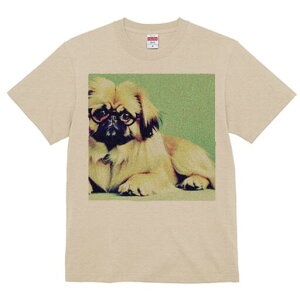 yLj[Y TVc fB[X t@  t  vg JWA 킢 lԗp h ̃fUC ʔ Kl yLj[Y 