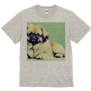 yLj[Y TVc Y LbY t@  t  vg JWA 킢 lԗp h ̃fUC ʔ Kl yLj[Y 