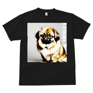 yLj[Y TVc fB[X t@  t  vg JWA 킢 lԗp h ̃fUC ʔ Kl yLj[Y