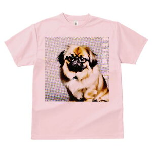 yLj[Y TVc fB[X t@  t  vg JWA 킢 lԗp h ̃fUC ʔ Kl yLj[Y