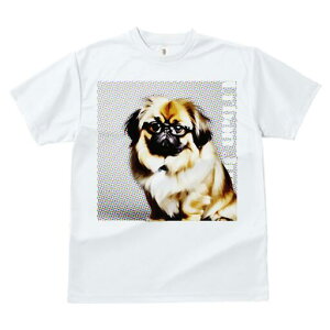 yLj[Y TVc fB[X t@  t  vg JWA 킢 lԗp h ̃fUC ʔ Kl yLj[Y