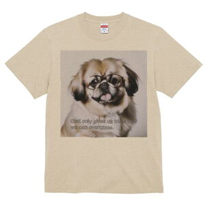 yLj[Y TVc fB[X t@  t  vg JWA 킢 lԗp h ̃fUC ʔ Kl yLj[Y