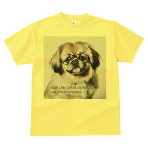 yLj[Y TVc fB[X t@  t  vg JWA 킢 lԗp h ̃fUC ʔ Kl yLj[Y