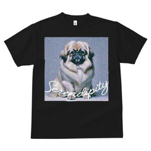 yLj[Y TVc fB[X t@  t  vg JWA 킢 lԗp h ̃fUC ʔ Kl yLj[Y