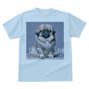 yLj[Y TVc fB[X t@  t  vg JWA 킢 lԗp h ̃fUC ʔ Kl yLj[Y