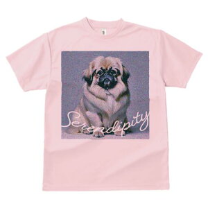 yLj[Y TVc fB[X t@  t  vg JWA 킢 lԗp h ̃fUC ʔ Kl yLj[Y