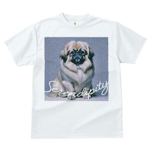 yLj[Y TVc fB[X t@  t  vg JWA 킢 lԗp h ̃fUC ʔ Kl yLj[Y