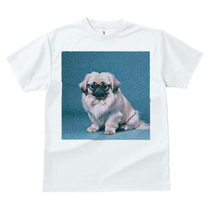 yLj[Y TVc fB[X t@  t  vg JWA 킢 lԗp h ̃fUC ʔ Kl yLj[Y