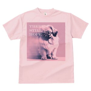 yLj[Y TVc fB[X t@  t  vg JWA 킢 lԗp h ̃fUC ʔ Kl yLj[Y