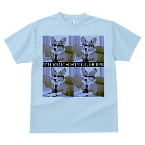 R[M[ TVc fB[X t@  t  vg JWA 킢 lԗp h ̃fUC ʔ X[c R[M[ lN^C Kl