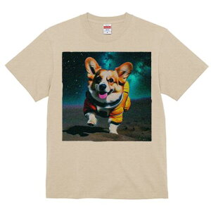 R[M[ TVc fB[X t@  t  vg JWA 킢 lԗp h ̃fUC ʔ F R[M[ F