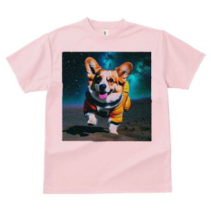 R[M[ TVc fB[X t@  t  vg JWA 킢 lԗp h ̃fUC ʔ F R[M[ F