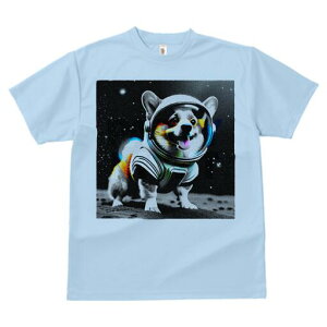 R[M[ TVc fB[X t@  t  vg JWA 킢 lԗp h ̃fUC ʔ F R[M[ F 