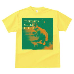 R[M[ TVc fB[X t@  t  vg JWA 킢 lԗp h ̃fUC ʔ  R[M[ F