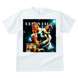 R[M[ TVc fB[X t@  t  vg JWA 킢 lԗp h ̃fUC ʔ F R[M[ Xy[X 