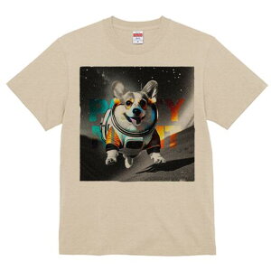 R[M[ TVc fB[X t@  t  vg JWA 킢 lԗp h ̃fUC ʔ F R[M[ F