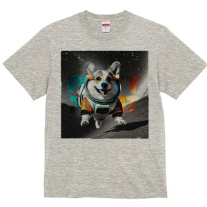 R[M[ TVc fB[X t@  t  vg JWA 킢 lԗp h ̃fUC ʔ F R[M[ F