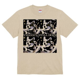 R[M[ TVc fB[X t@  t  vg JWA 킢 lԗp h ̃fUC ʔ F R[M[ F