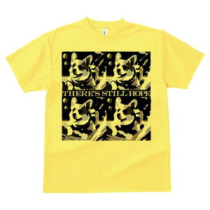 R[M[ TVc fB[X t@  t  vg JWA 킢 lԗp h ̃fUC ʔ F R[M[ F