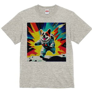 R[M[ TVc fB[X t@  t  vg JWA 킢 lԗp h ̃fUC ʔ F R[M[ F Xy[X 