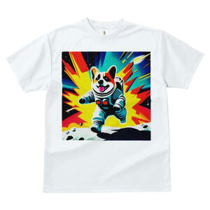 R[M[ TVc fB[X t@  t  vg JWA 킢 lԗp h ̃fUC ʔ F R[M[ F Xy[X 