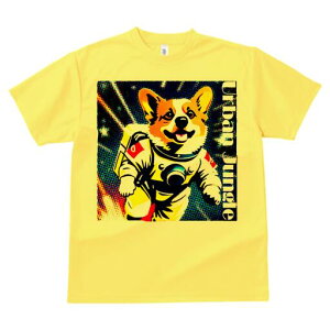 R[M[ TVc fB[X t@  t  vg JWA 킢 lԗp h ̃fUC ʔ F R[M[