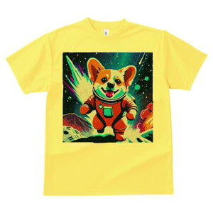 R[M[ TVc fB[X t@  t  vg JWA 킢 lԗp h ̃fUC ʔ F R[M[ Fsm Xy[X Pbg