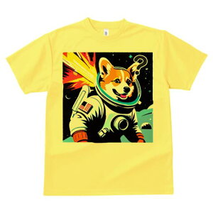 R[M[ TVc fB[X t@  t  vg JWA 킢 lԗp h ̃fUC ʔ F R[M[ F  