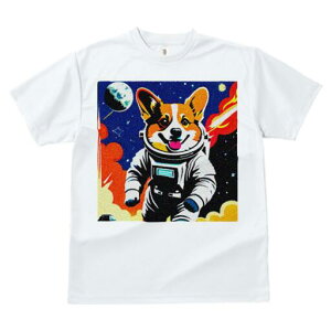 R[M[ TVc fB[X t@  t  vg JWA 킢 lԗp h ̃fUC ʔ F R[M[ Fsm  Pbg