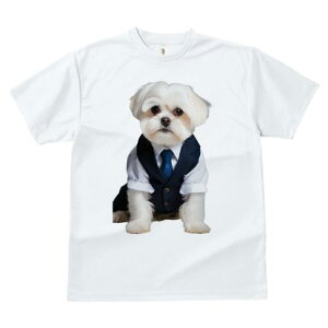 }`[Y TVc fB[X t@  t  vg JWA 킢 lԗp h ̃fUC ʔ X[c }`[Y lN^C rWlX