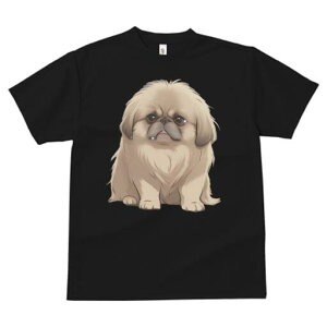 yLj[Y TVc fB[X t@  t  vg JWA 킢 lԗp h ̃fUC ʔ yLj[Y