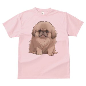 yLj[Y TVc fB[X t@  t  vg JWA 킢 lԗp h ̃fUC ʔ yLj[Y