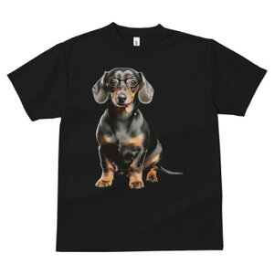 _bNXth TVc fB[X t@  t  vg JWA 킢 lԗp h ̃fUC ʔ Kl _bNXth