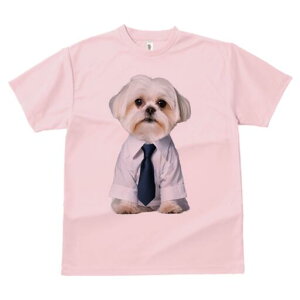 }`[Y TVc fB[X t@  t  vg JWA 킢 lԗp h ̃fUC ʔ CVc }`[Y lN^C