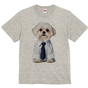 }`[Y TVc fB[X t@  t  vg JWA 킢 lԗp h ̃fUC ʔ CVc }`[Y lN^C