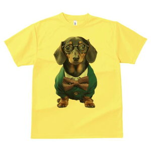 _bNXth TVc Y LbY t@  t  vg JWA 킢 lԗp h ̃fUC ʔ Kl _bNXth lN^C X[c