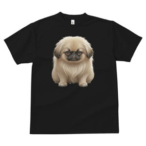 yLj[Y TVc fB[X t@  t  vg JWA 킢 lԗp h ̃fUC ʔ yLj[Y