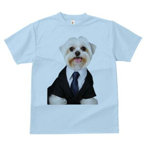 }`[Y TVc fB[X t@  t  vg JWA 킢 lԗp h ̃fUC ʔ X[c }`[Y lN^C rWlX