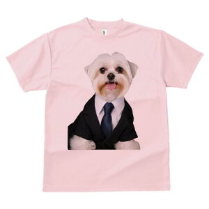 }`[Y TVc fB[X t@  t  vg JWA 킢 lԗp h ̃fUC ʔ X[c }`[Y lN^C rWlX