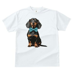 _bNXth TVc fB[X t@  t  vg JWA 킢 lԗp h ̃fUC ʔ lN^C _bNXth