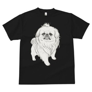 yLj[Y TVc fB[X t@  t  vg JWA 킢 lԗp h ̃fUC ʔ yLj[Y