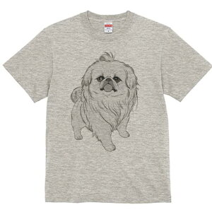 yLj[Y TVc fB[X t@  t  vg JWA 킢 lԗp h ̃fUC ʔ yLj[Y