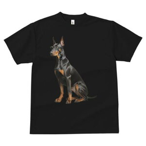 h[x} TVc fB[X t@  t  vg JWA 킢 lԗp h ̃fUC ʔ Kl h[x}