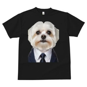 }`[Y TVc fB[X t@  t  vg JWA 킢 lԗp h ̃fUC ʔ X[c }`[Y lN^C CVc