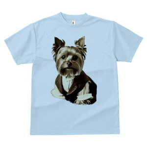 [NV[eA TVc fB[X t@  t  vg JWA 킢 lԗp h ̃fUC ʔ X[c [NV[eA tH[}