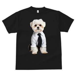 }`[Y TVc fB[X t@  t  vg JWA 킢 lԗp h ̃fUC ʔ Vc }`[Y lN^C